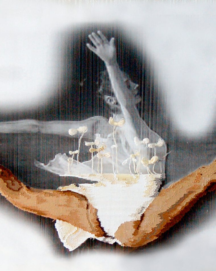 Siyah Kuğu
